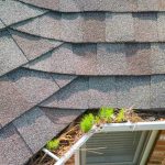 How Long Does a Shingle Roof Last?