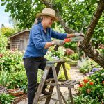 Home gardener using a folding pruning saw to trim a thick tree branch in a sunny backyard garden